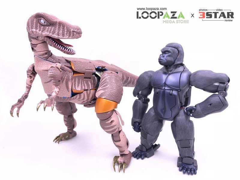 Masterpiece MP 41 Beast Wars Dinobot In Hand Photos   And Demo Videos 07 (7 of 19)